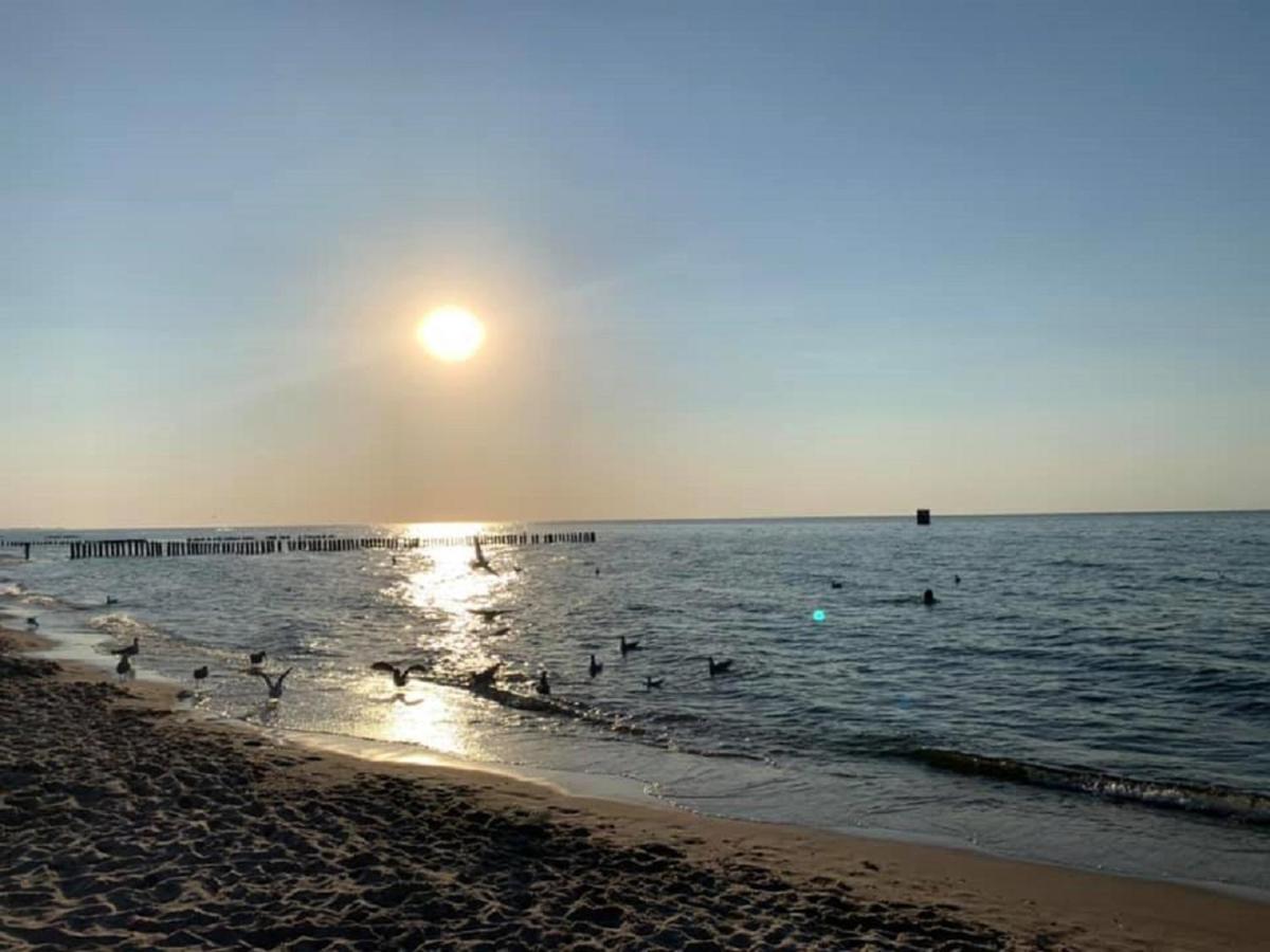 Mi Casa Holidays Rezydencja Park Rodzinna II 미엘노 외부 사진